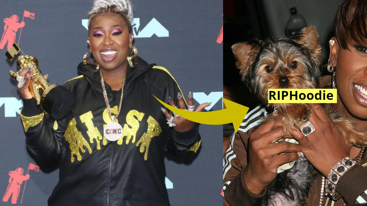 Missy Elliott dog Hoodie