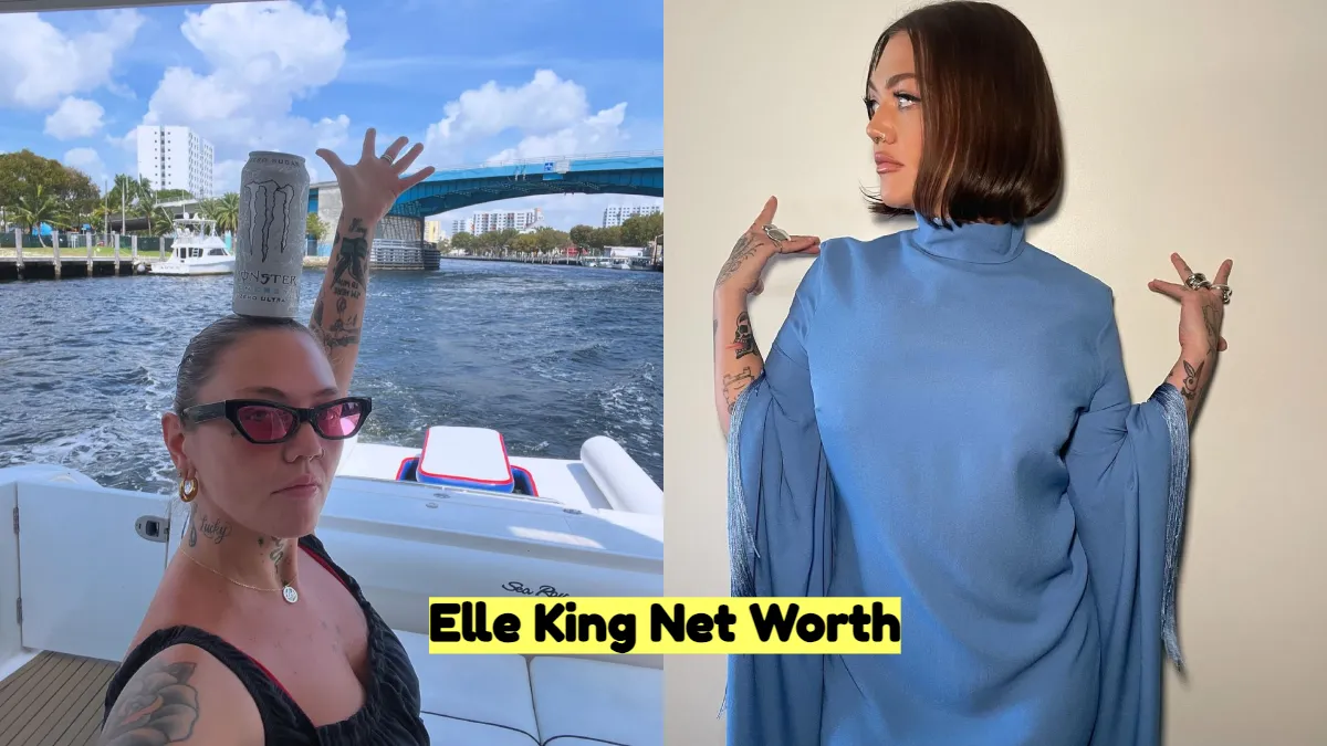 Elle King Net Worth